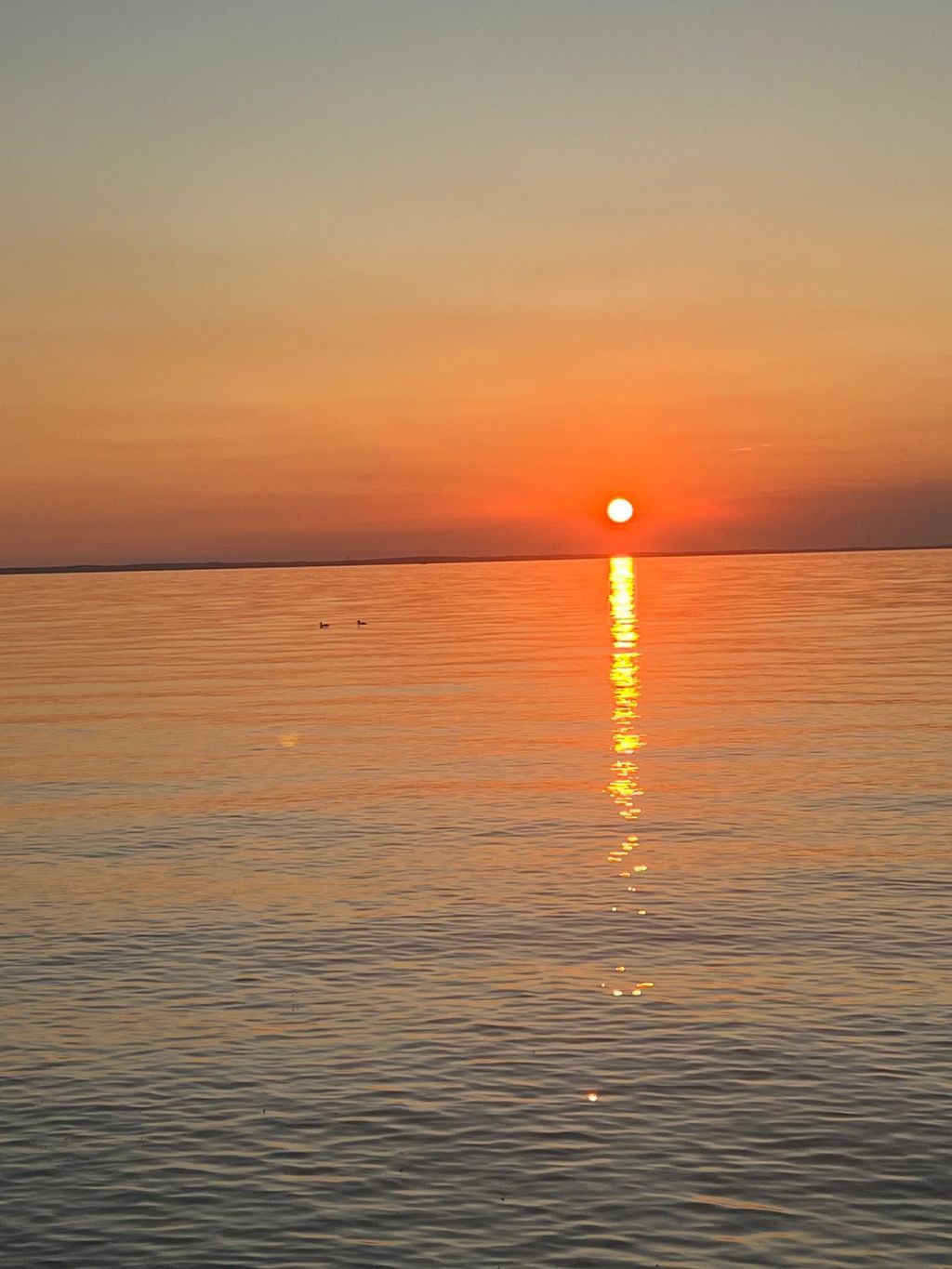 Photo of 8536 Tuxedo Road, Onamia, MN 56359 (MLS # 7026934)