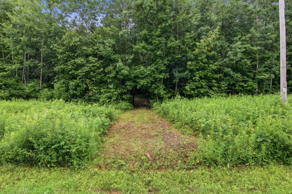 Photo of Lot 1 4th Street, Clayton, WI 54004 (MLS # 7136949)