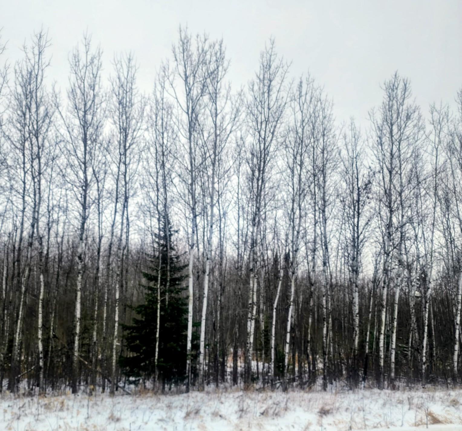 County Road 17 E County Road 17 E