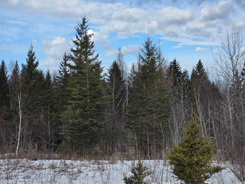Photo of TBD Three Mile Road NE, Blackduck, MN 56630 (MLS # 7038556)