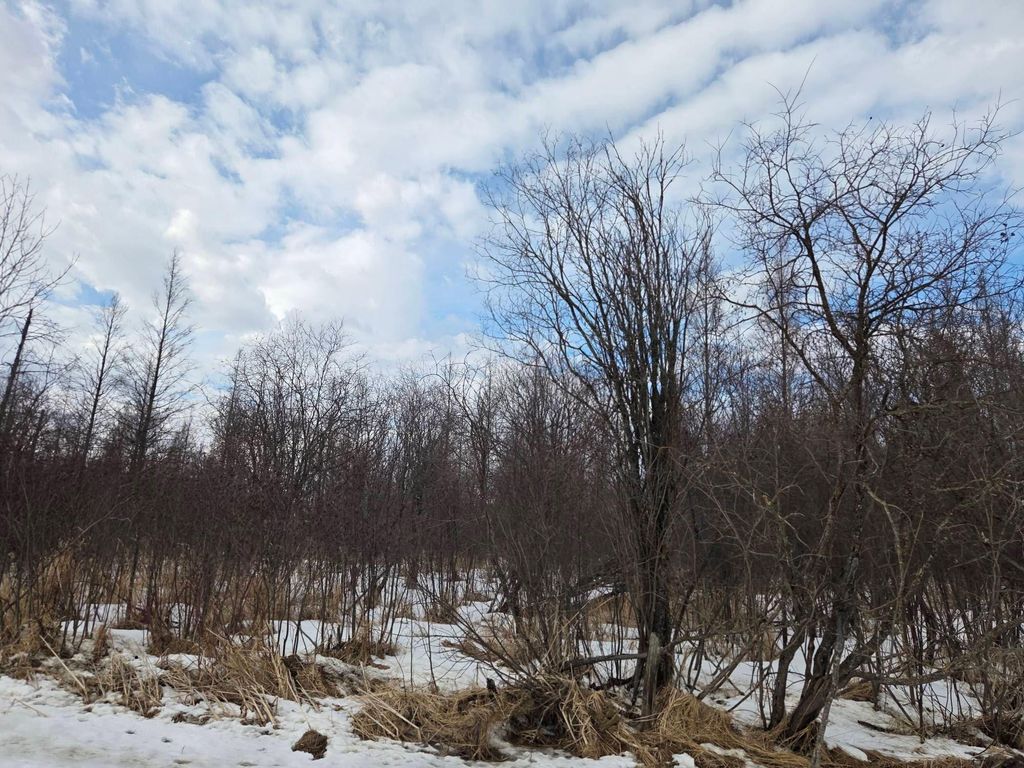 Photo of TBD Three Mile Road NE, Blackduck, MN 56630 (MLS # 7038556)