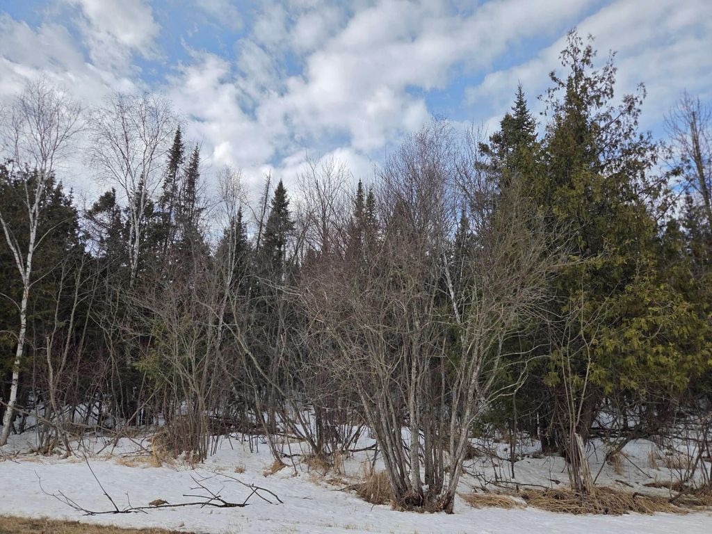 Photo of TBD Three Mile Road NE, Blackduck, MN 56630 (MLS # 7038556)