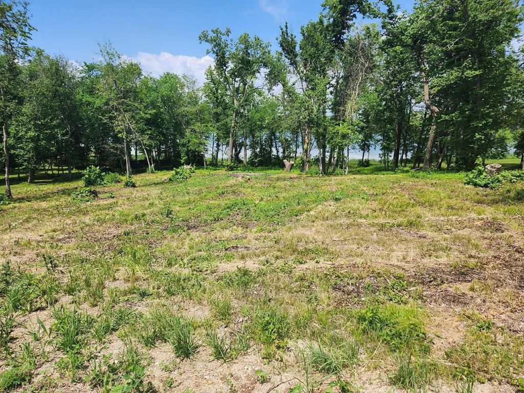 Photo of Lot 2 125th Street, Dalton, MN 56324 (MLS # 7008729)