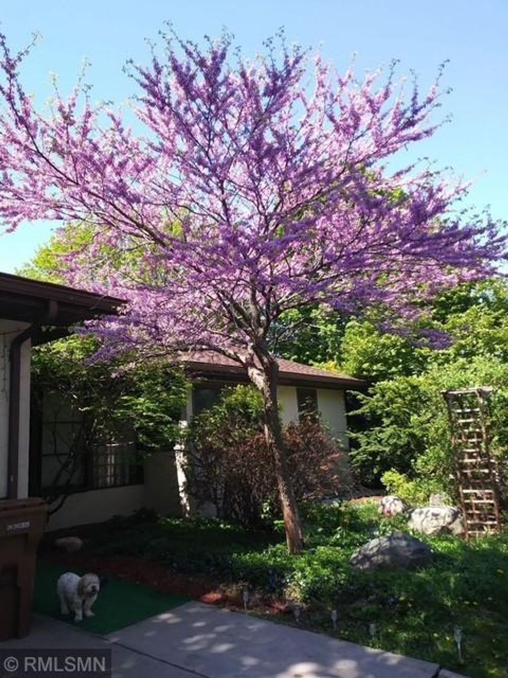 Photo of 1280 Dodd Road, Mendota Heights, MN 55118 (MLS # 7007922)