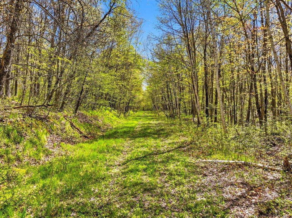 Photo of W6488 River Road, Trego, WI 54888 (MLS # 7075806)