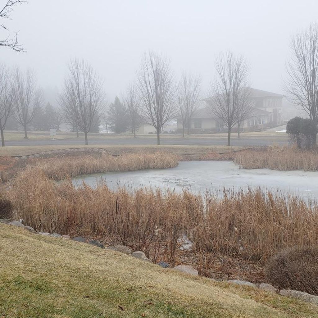 Photo of 891 Ledgestone Drive, Mahtomedi, MN 55115 (MLS # 7030595)