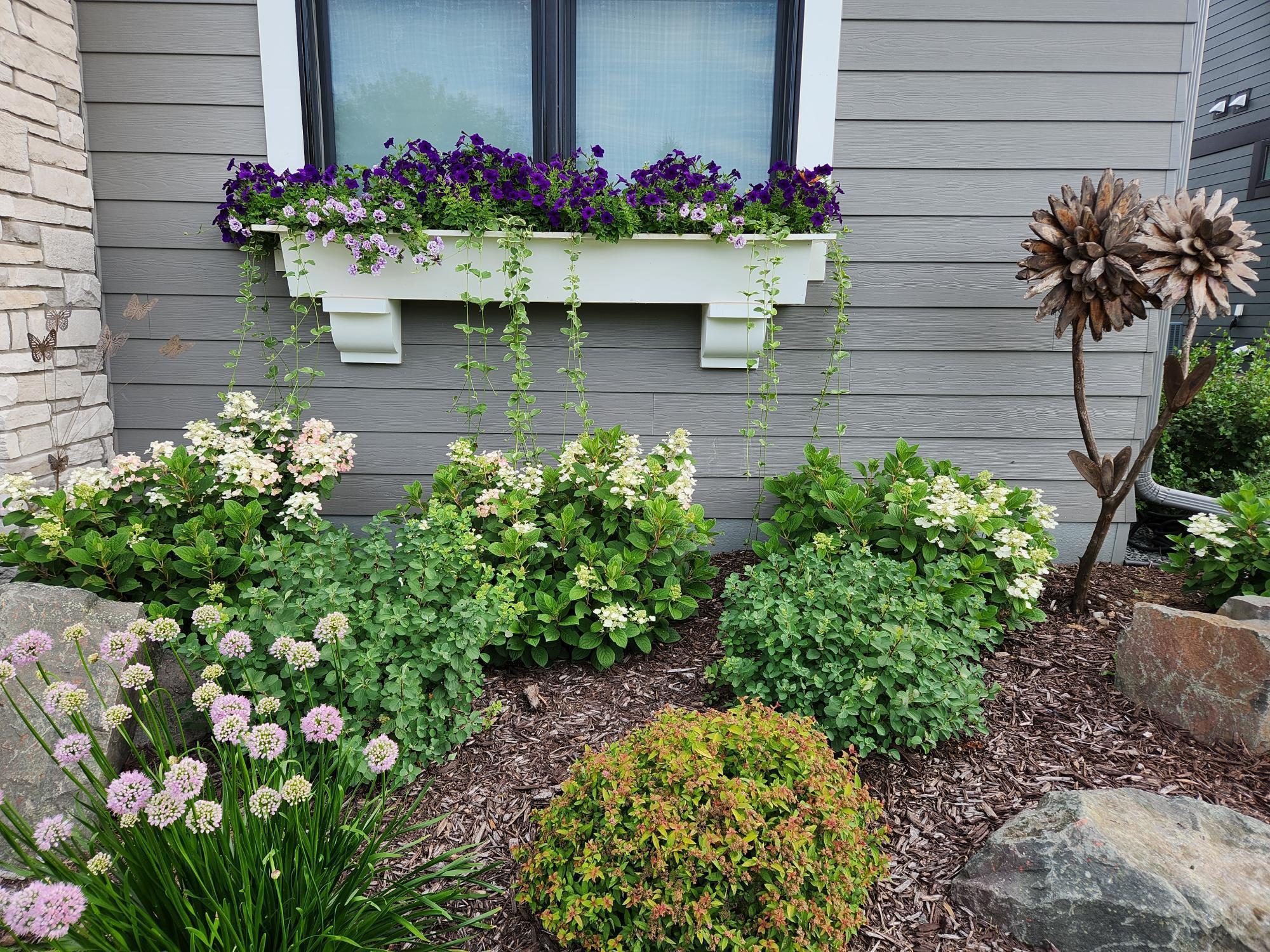 11472 Sunflower Lane N