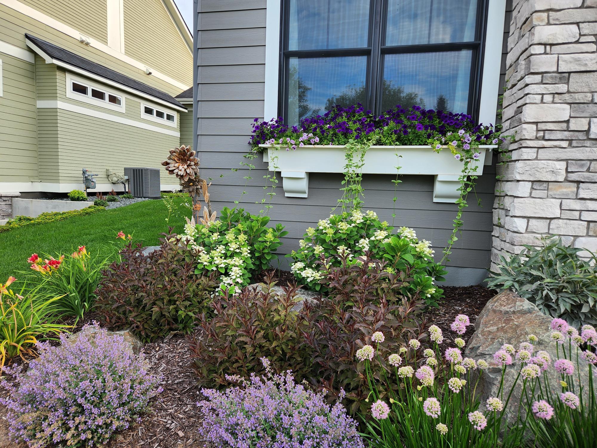 11472 Sunflower Lane N