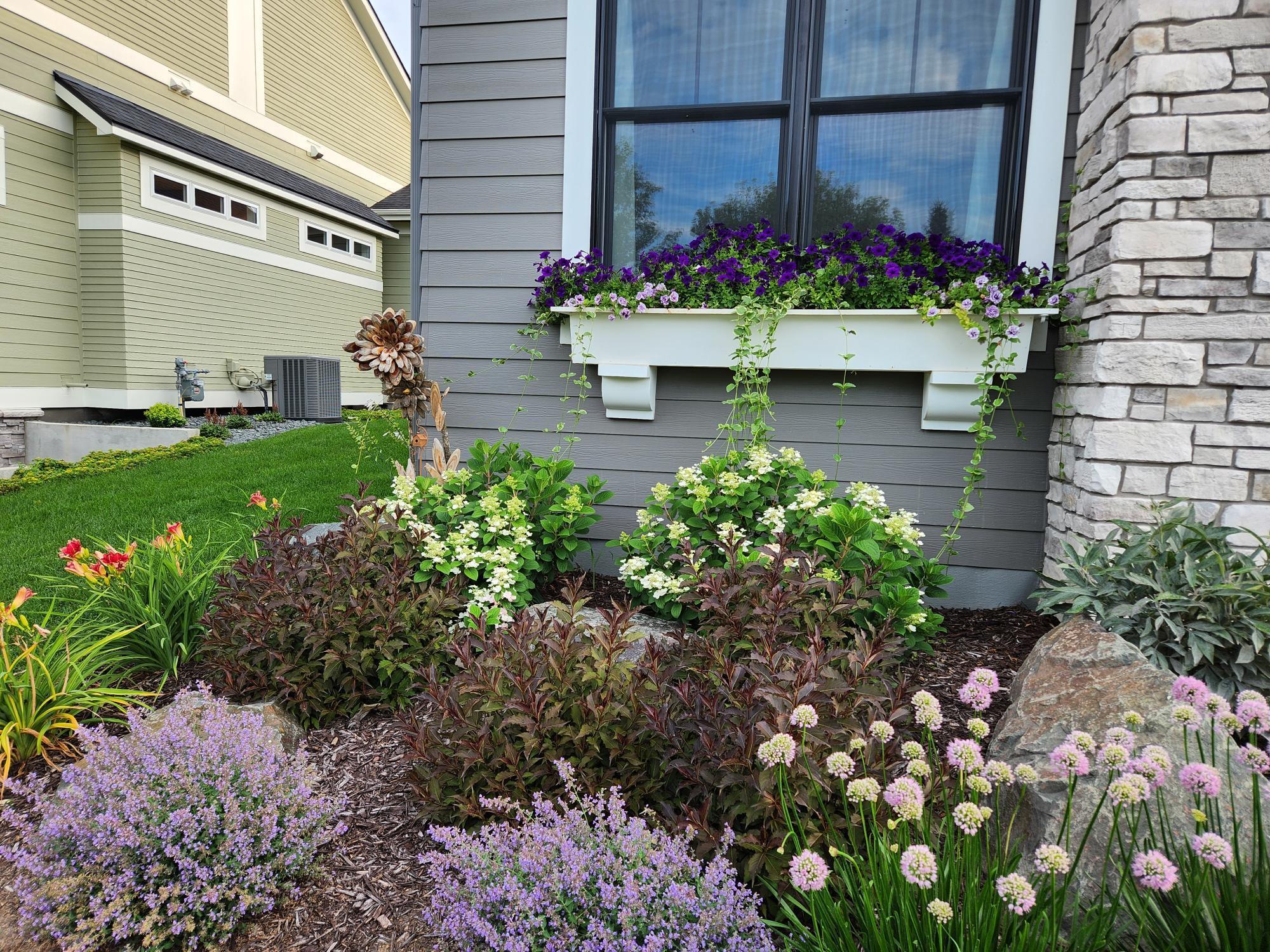 11472 Sunflower Lane N