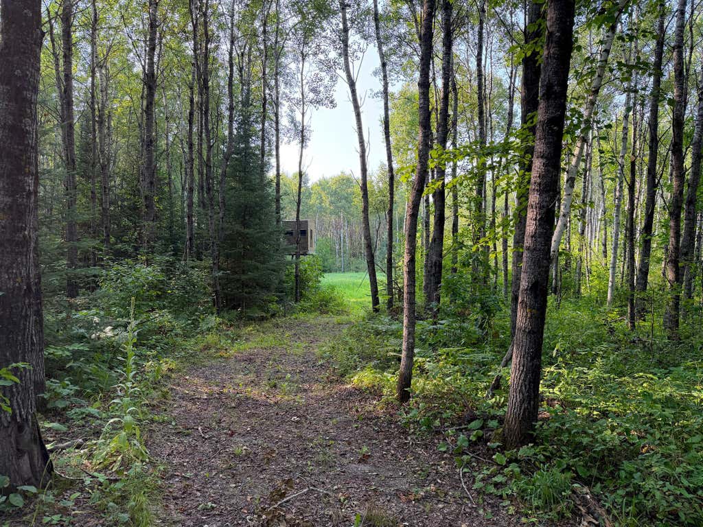 Photo of XX County Rd 1, Emily, MN 56447 (MLS # 7116039)