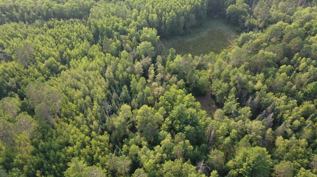 Photo of XX County Rd 1, Emily, MN 56447 (MLS # 7116039)