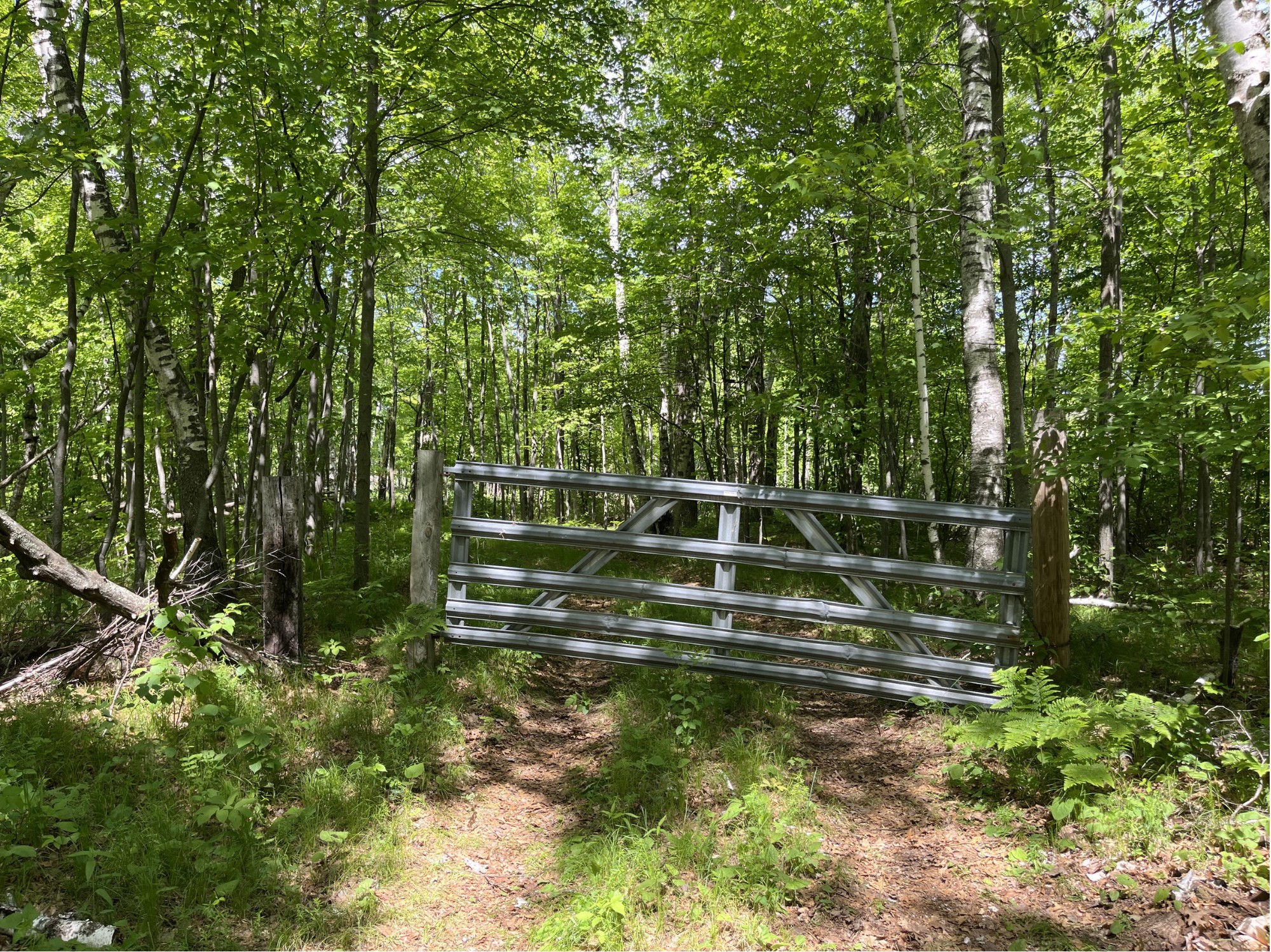 13384 Sorenson Lake Road