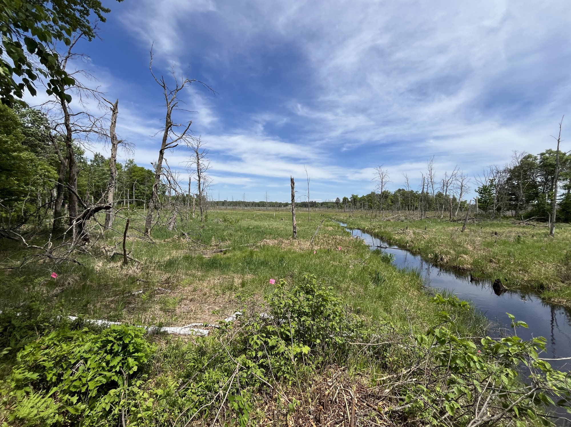 13384 Sorenson Lake Road