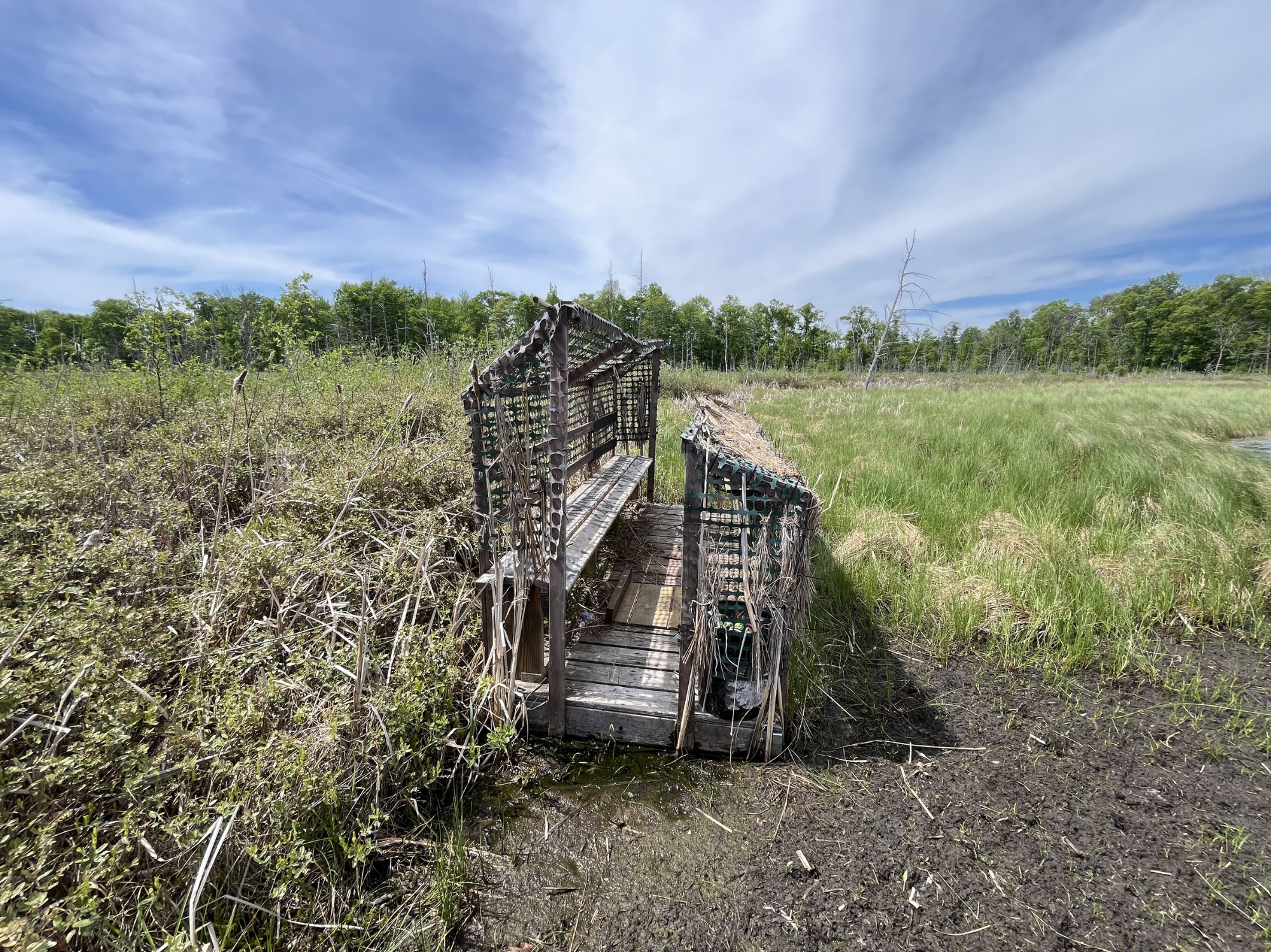 13384 Sorenson Lake Road