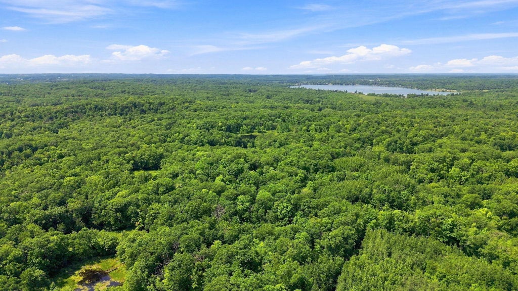 Photo of TBD Chippewa Trail, Luck, WI 54853 (MLS # 7121912)