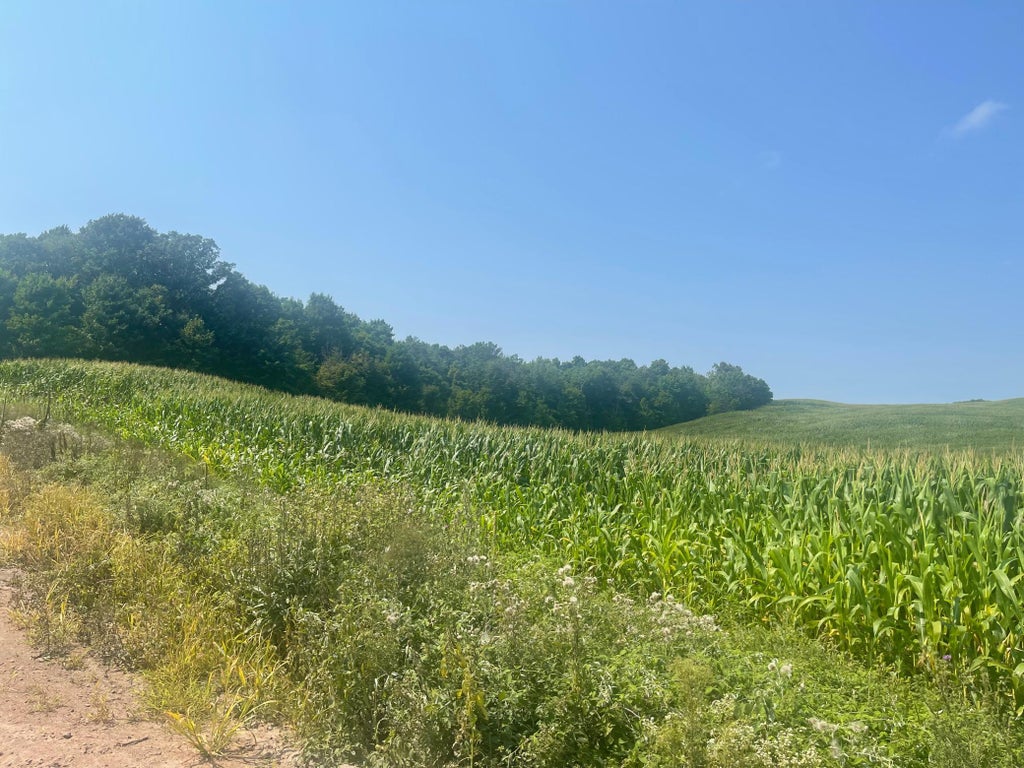 Photo of XX 190th Street, Centuria, WI 54024 (MLS # 7124868)