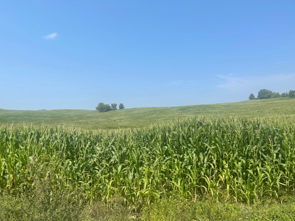 Photo of XX 190th Street, Centuria, WI 54024 (MLS # 7124868)