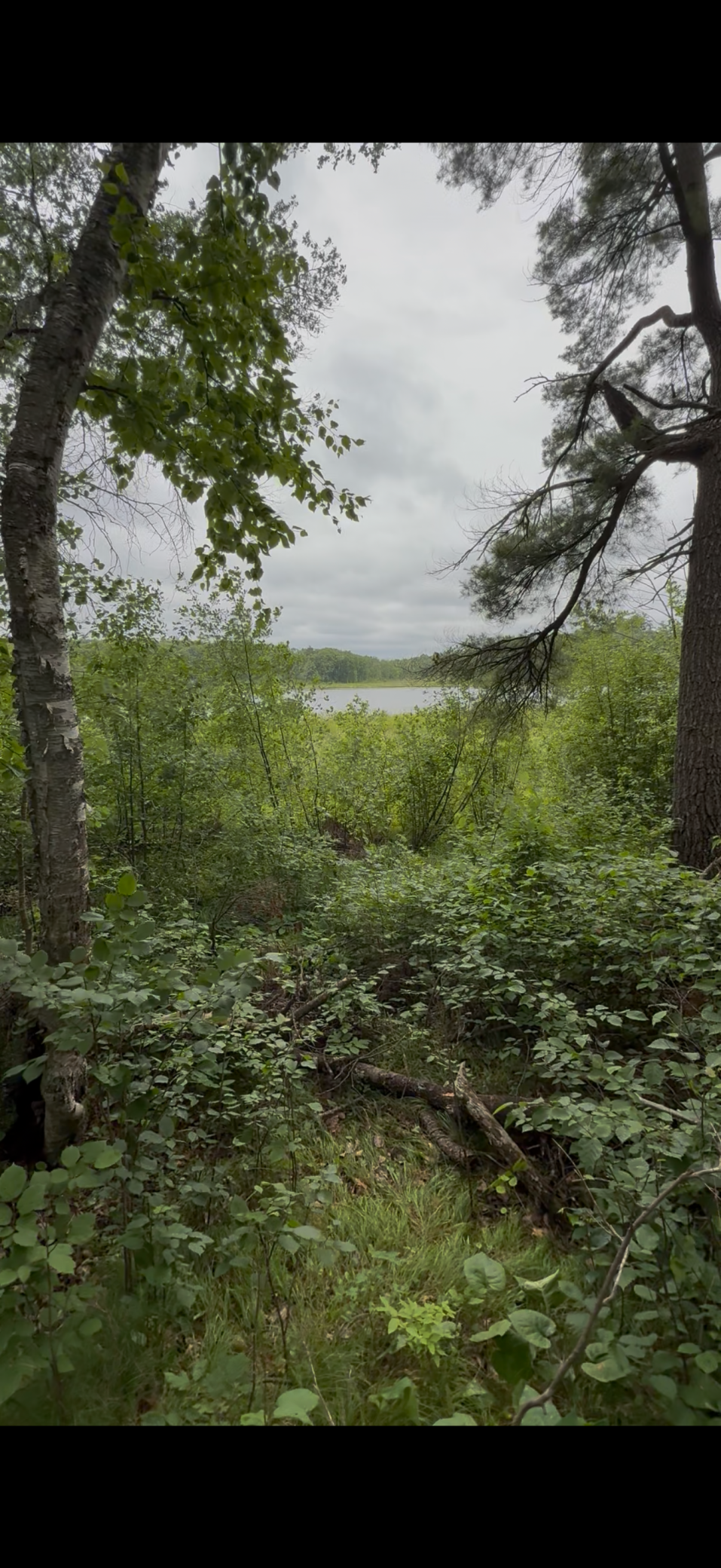 TBD Fawn Lake rd