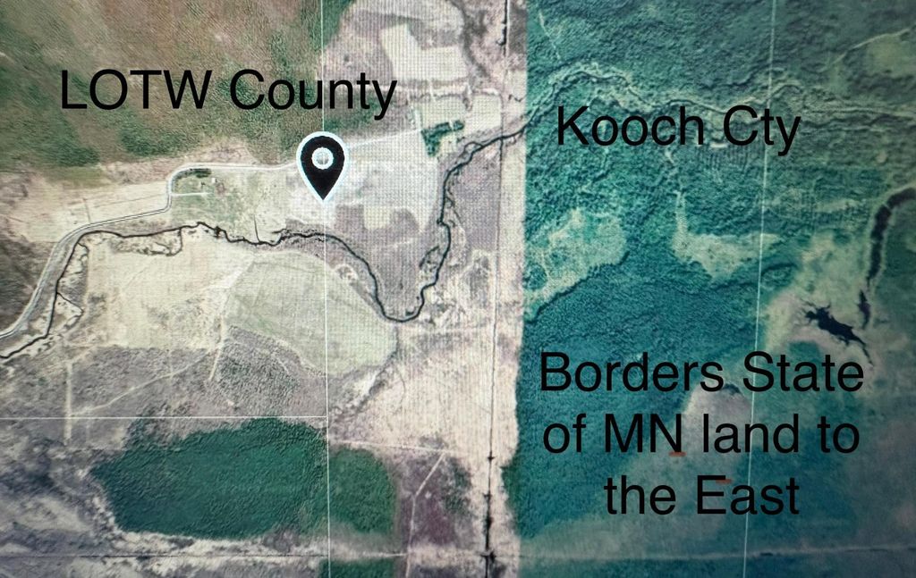 Photo of TBD-E Hay Creek Road SE, Baudette, MN 56623 (MLS # 7053432)