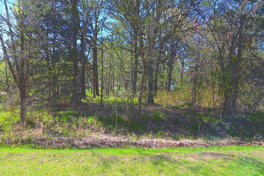 Photo of TBD Plum Drive, Browerville, MN 56438 (MLS # 7034462)