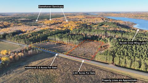 xxx County Road 119 Nevis MN 56467