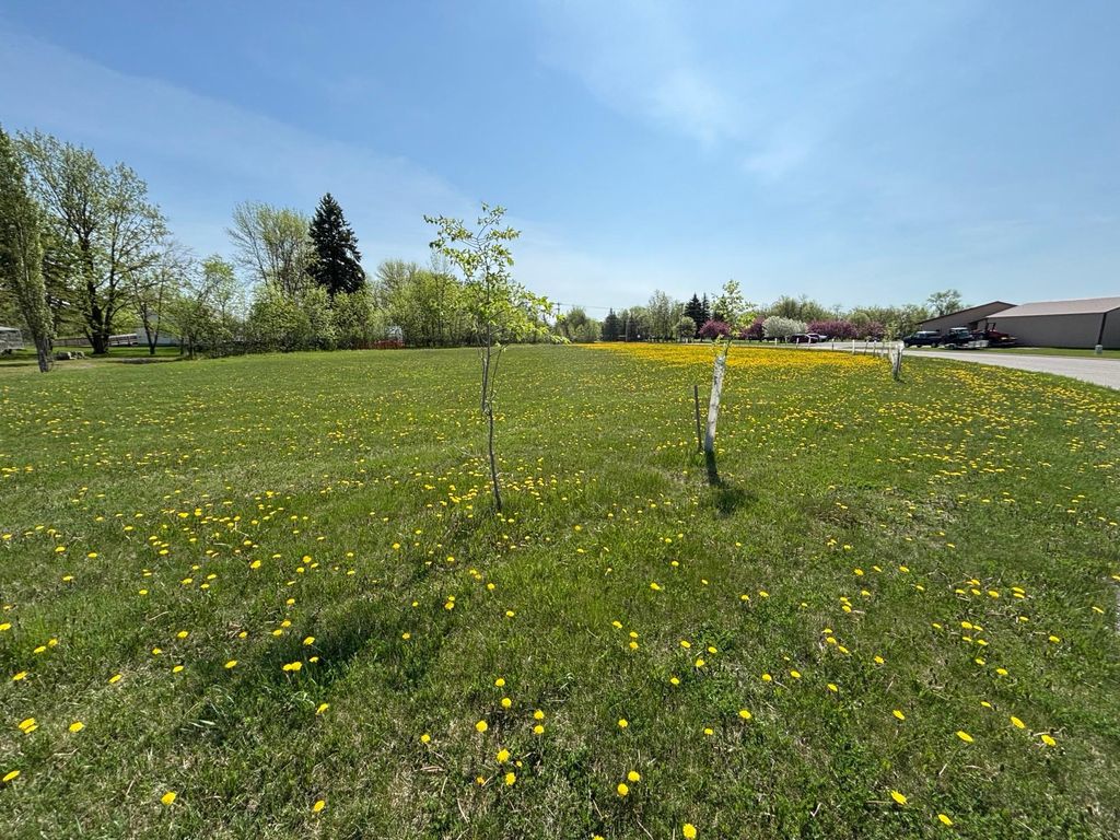 Photo of 000 First Street E, Thief River Falls, MN 56701 (MLS # 7082667)