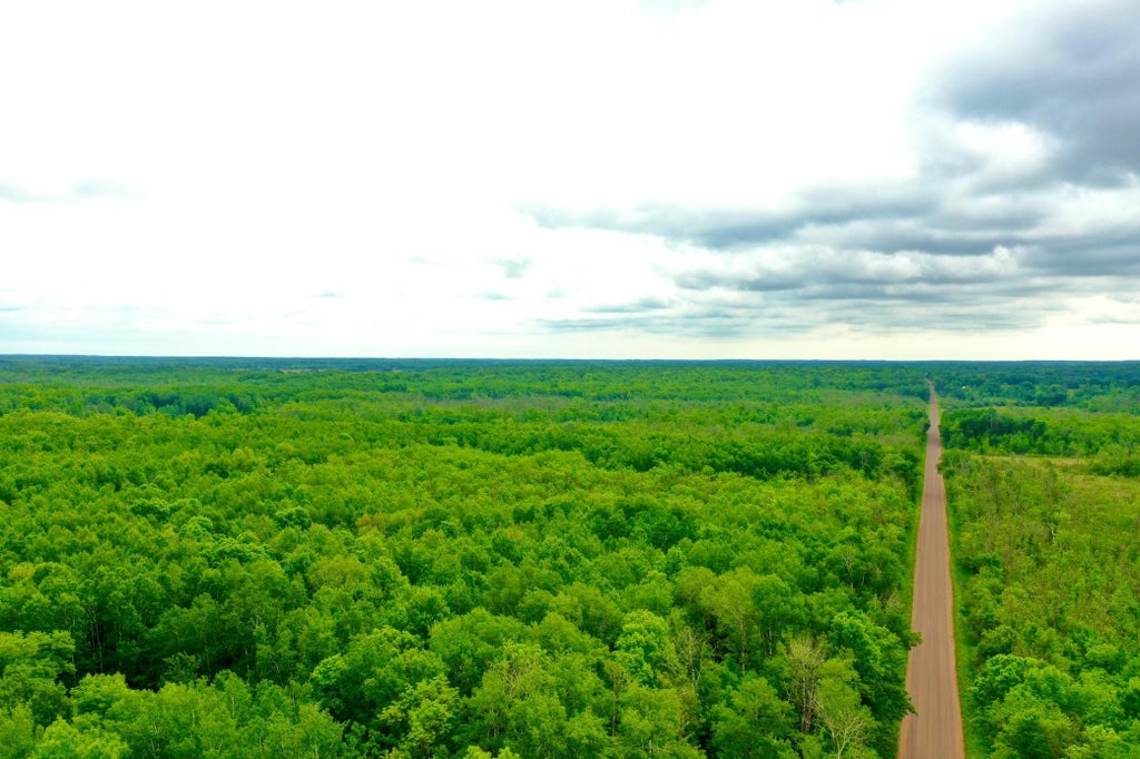 Photo of 10551 Mallard Road, Brook Park, MN 55007 (MLS # 7085861)