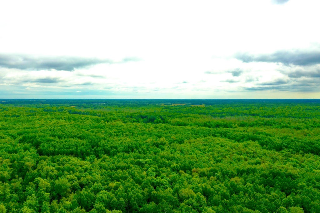 Photo of 10551 Mallard Road, Brook Park, MN 55007 (MLS # 7085861)