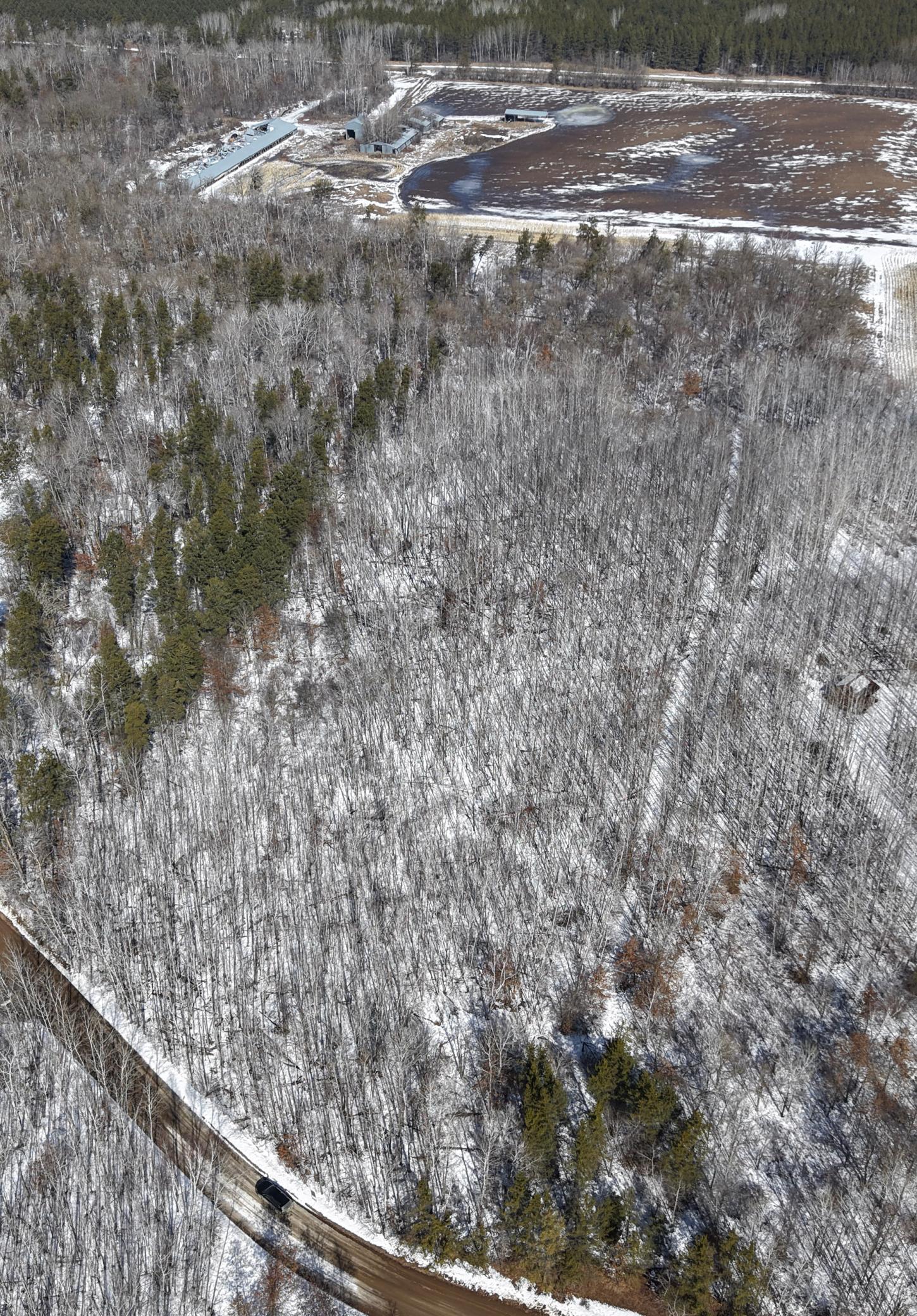TBD 10 Bog Lake Trail