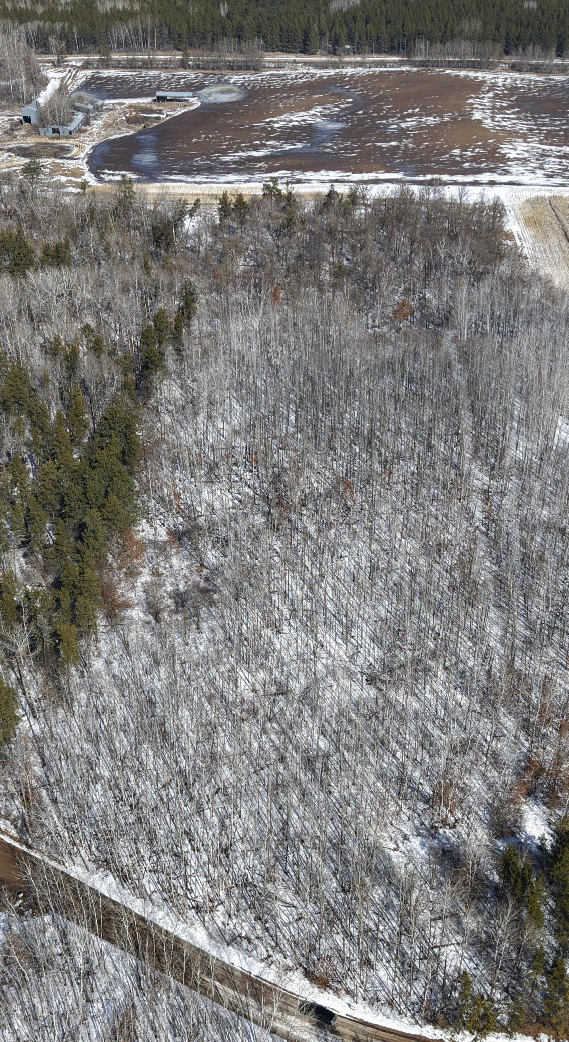 TBD 10 Bog Lake Trail
