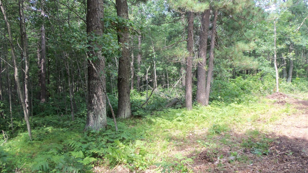 Photo of Lot 7 Birch Tree Trl, Spooner, WI 54801 (MLS # 7120163)