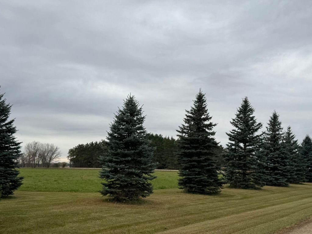 Photo of 30094 Ashby Court, Sciota Twp, MN 55057 (MLS # 6809912)