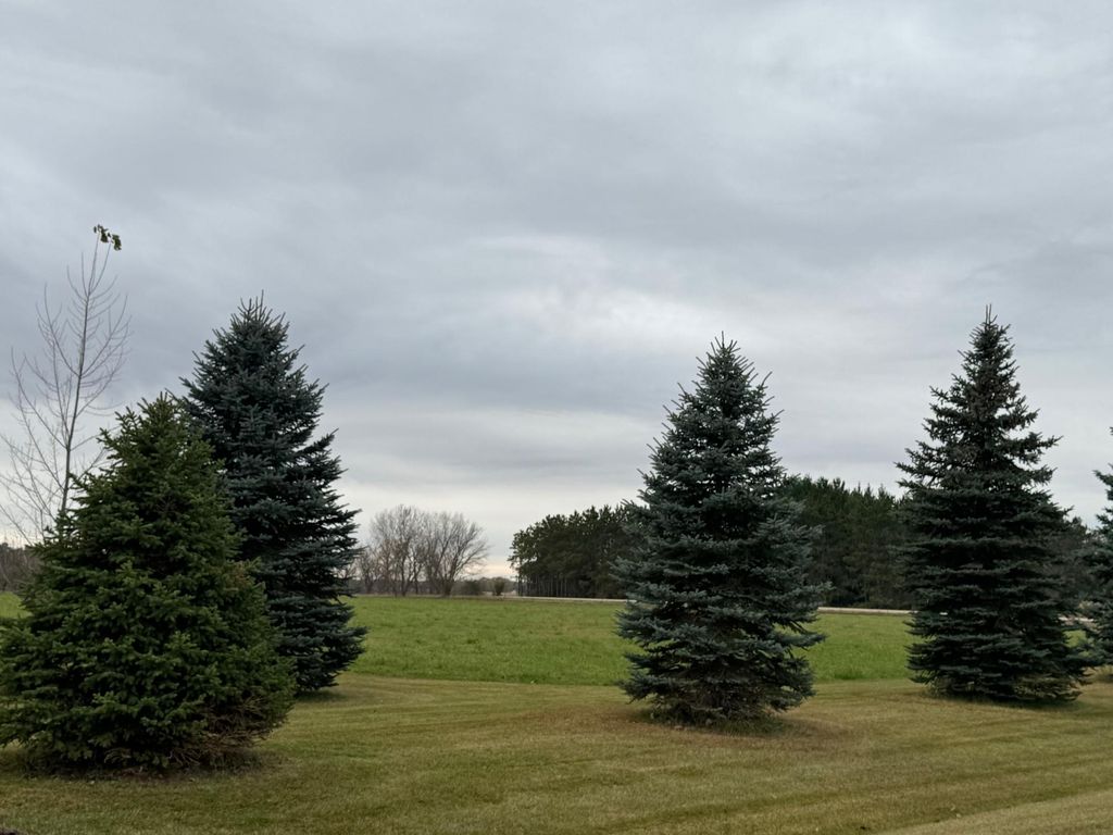 Photo of 30094 Ashby Court, Sciota Twp, MN 55057 (MLS # 6809912)