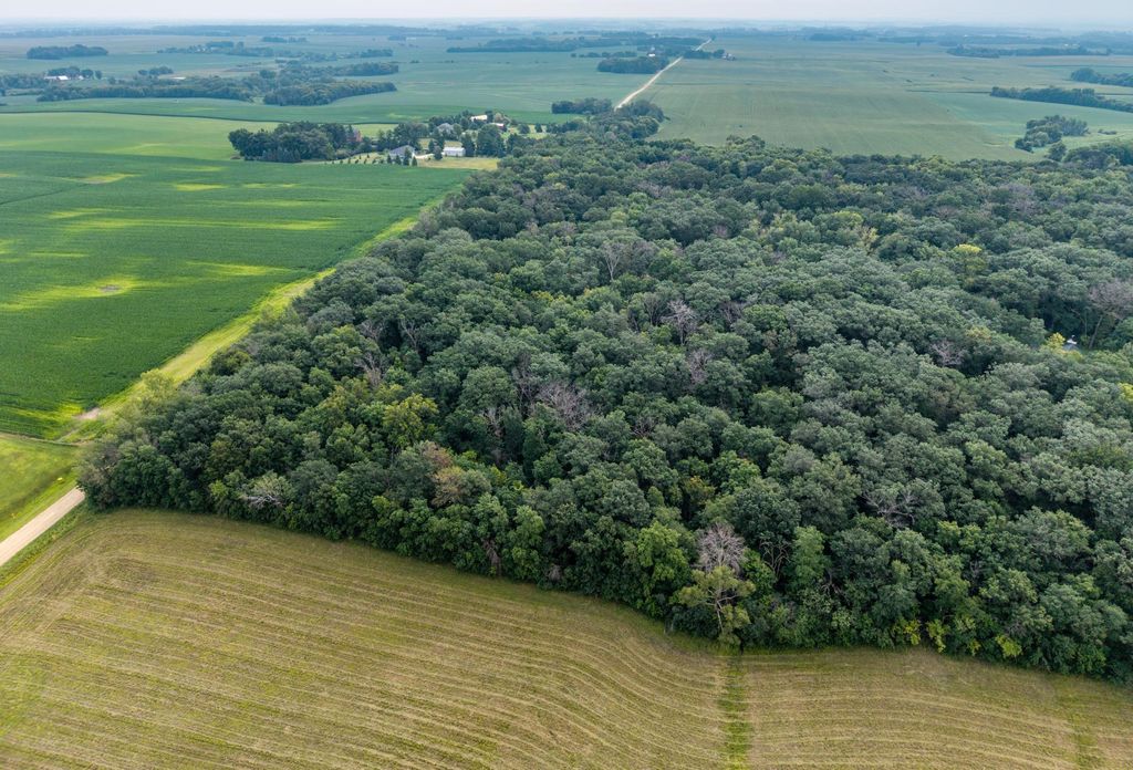 Photo of TBD 265th Street, Eureka Twp, MN 55024 (MLS # 7020102)