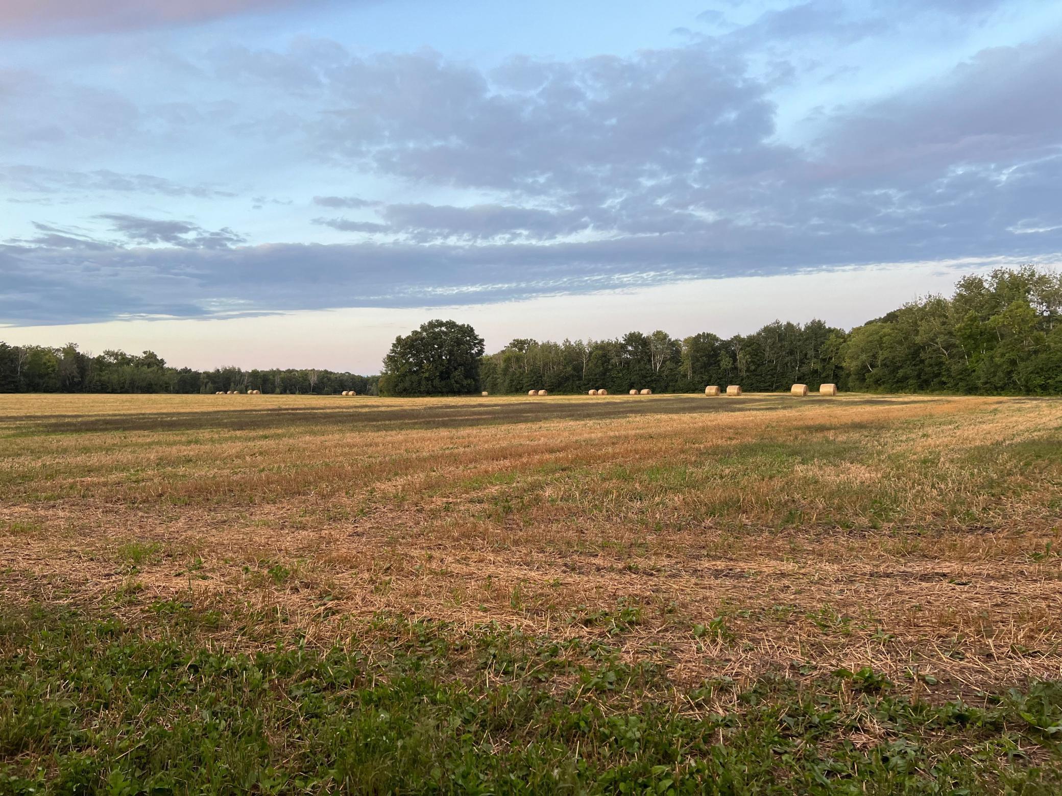 TBD Butternut Road