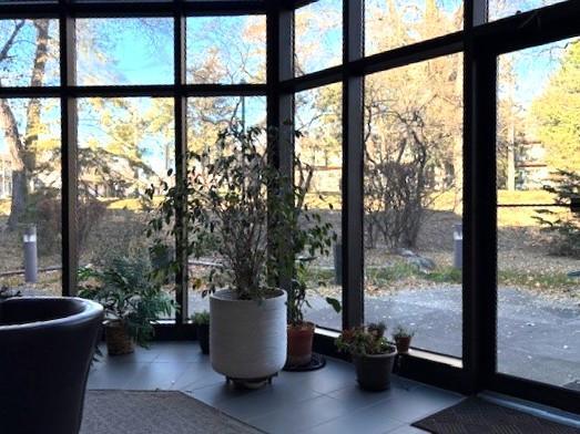 10 Windsor Court 214