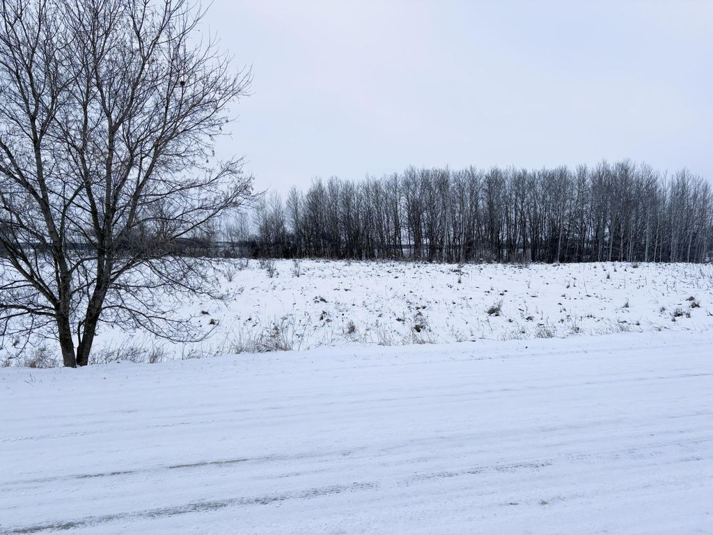 Photo of Lot 1 Old Fergus Road SW, Pelican Rapids, MN 56572 (MLS # 6822593)