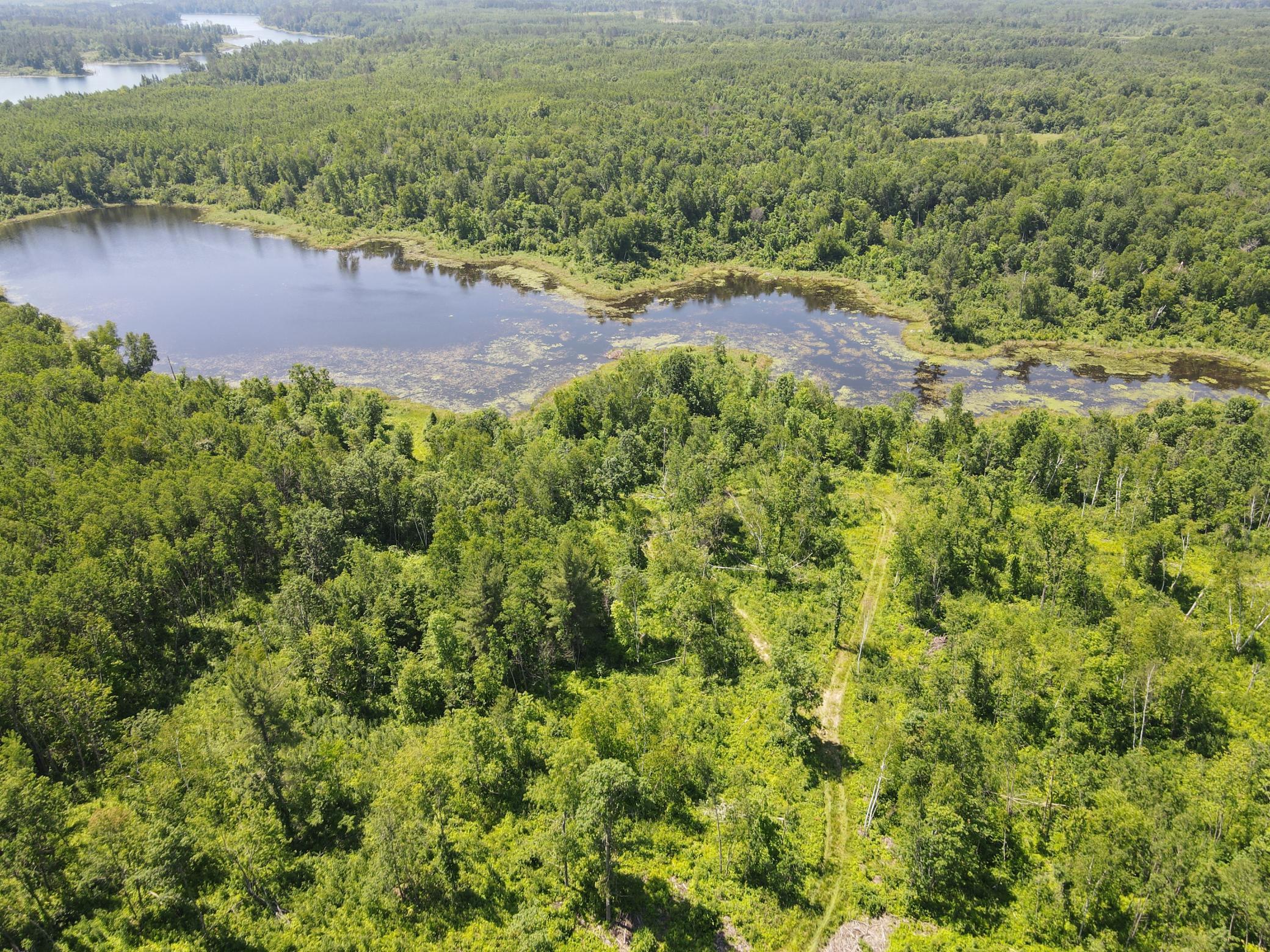 14xxx Walde Rd