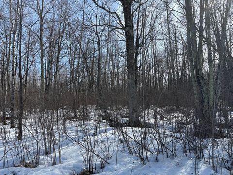 TBD Erickson Road Kettle River MN 55757