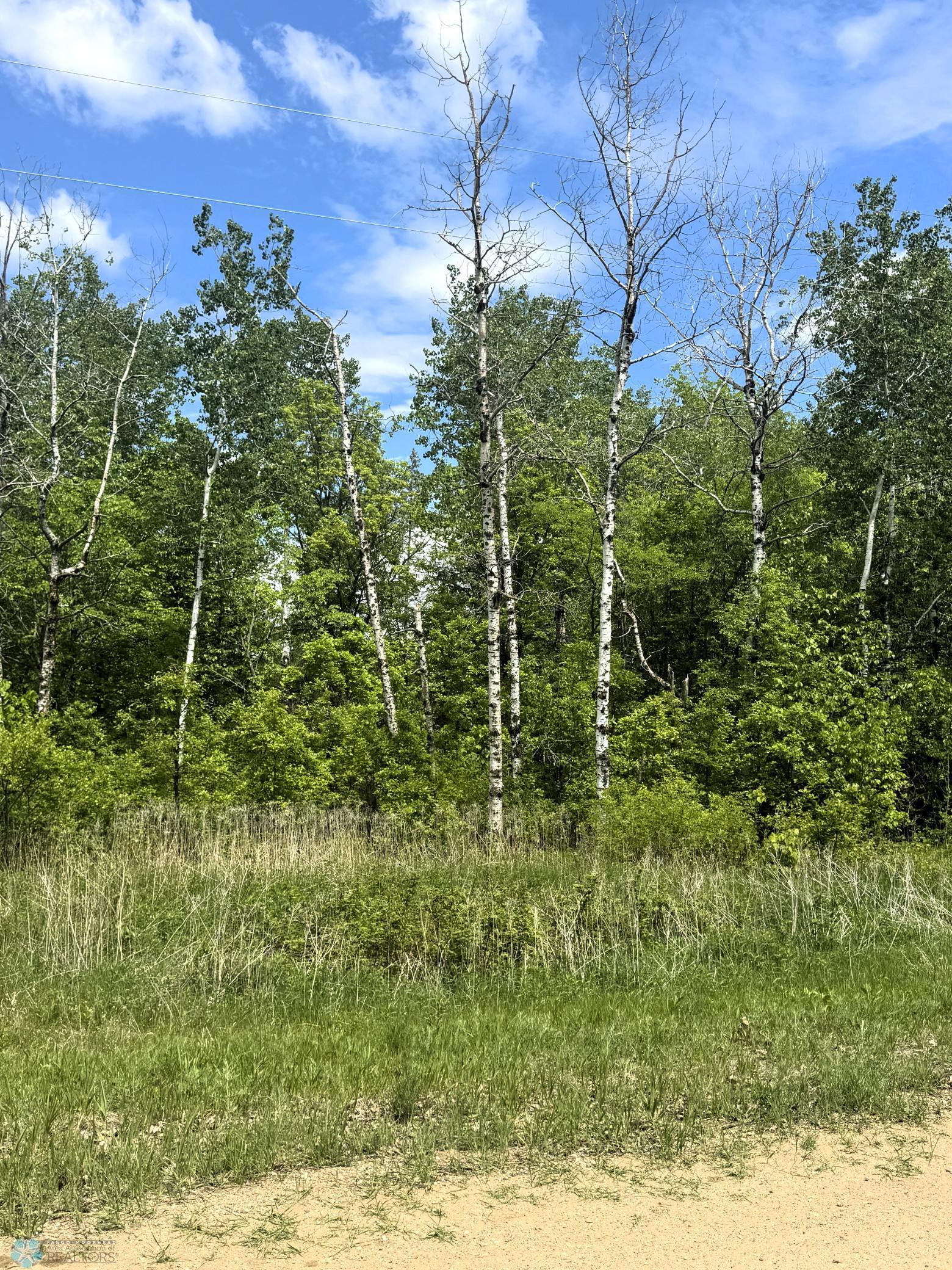 (Lot 3) TBD Ponderosa Lane