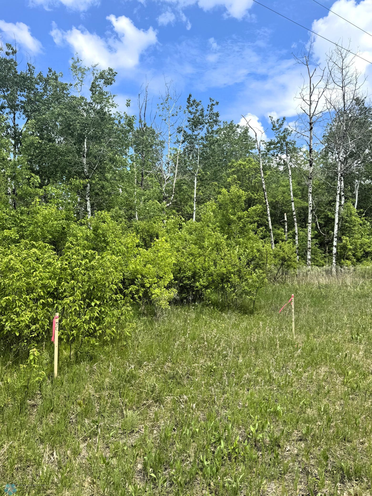 (Lot 3) TBD Ponderosa Lane