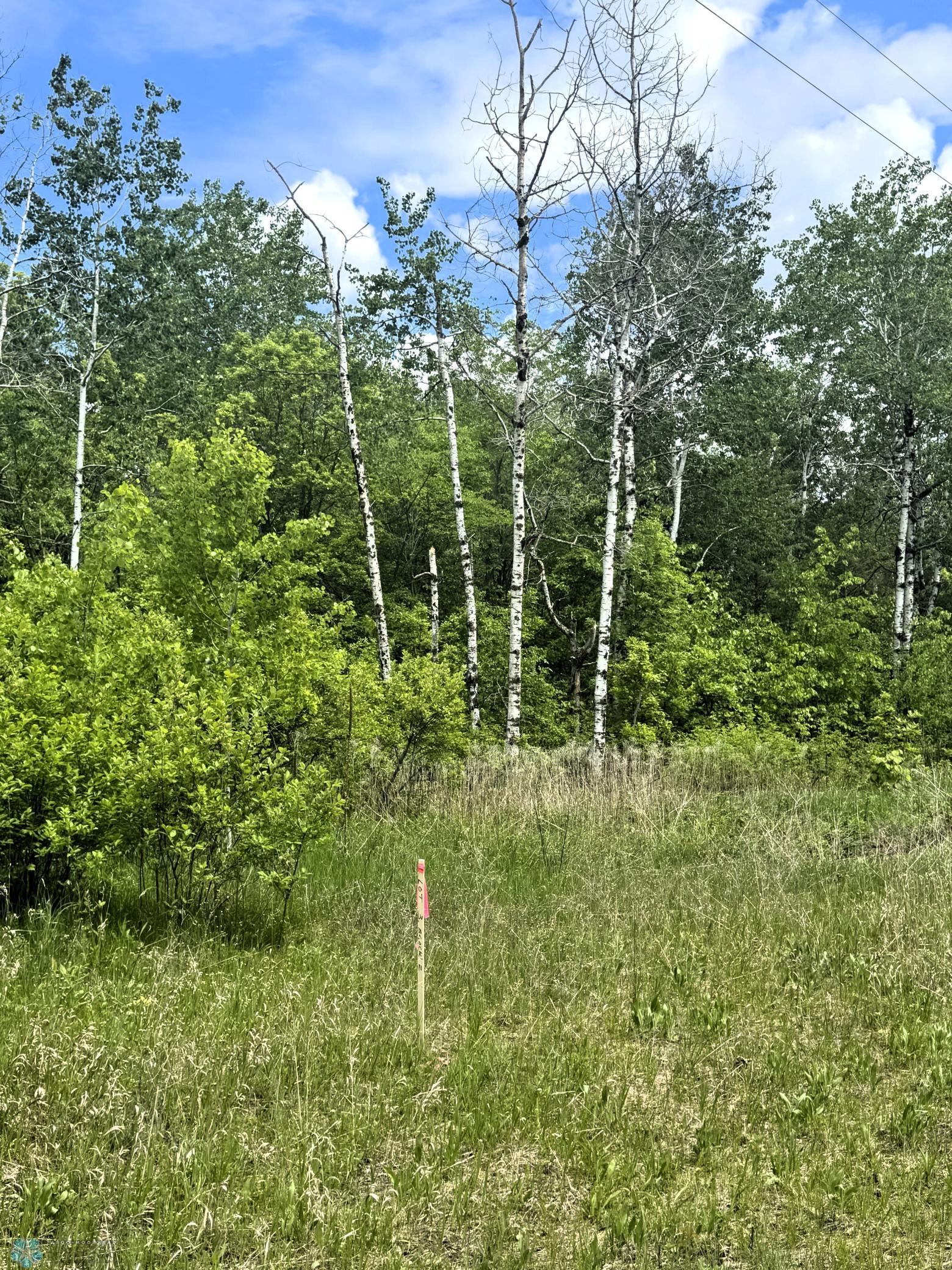 (Lot 3) TBD Ponderosa Lane