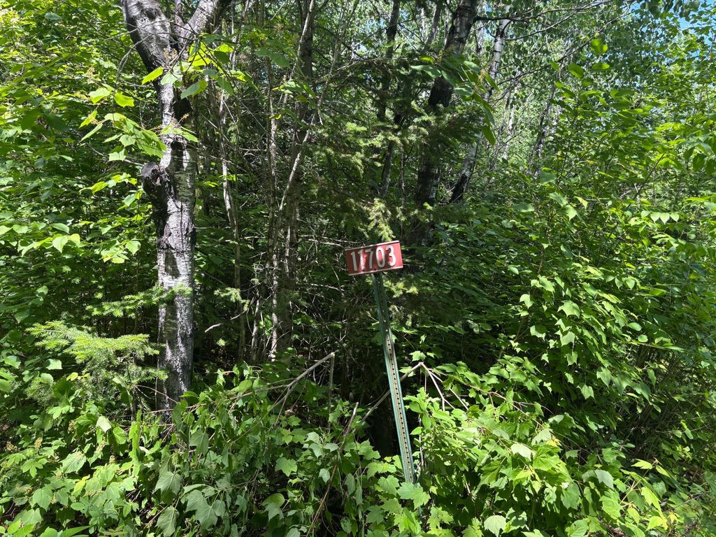 Photo of 11703 Jacobs Road, Orr, MN 55771 (MLS # 7101735)