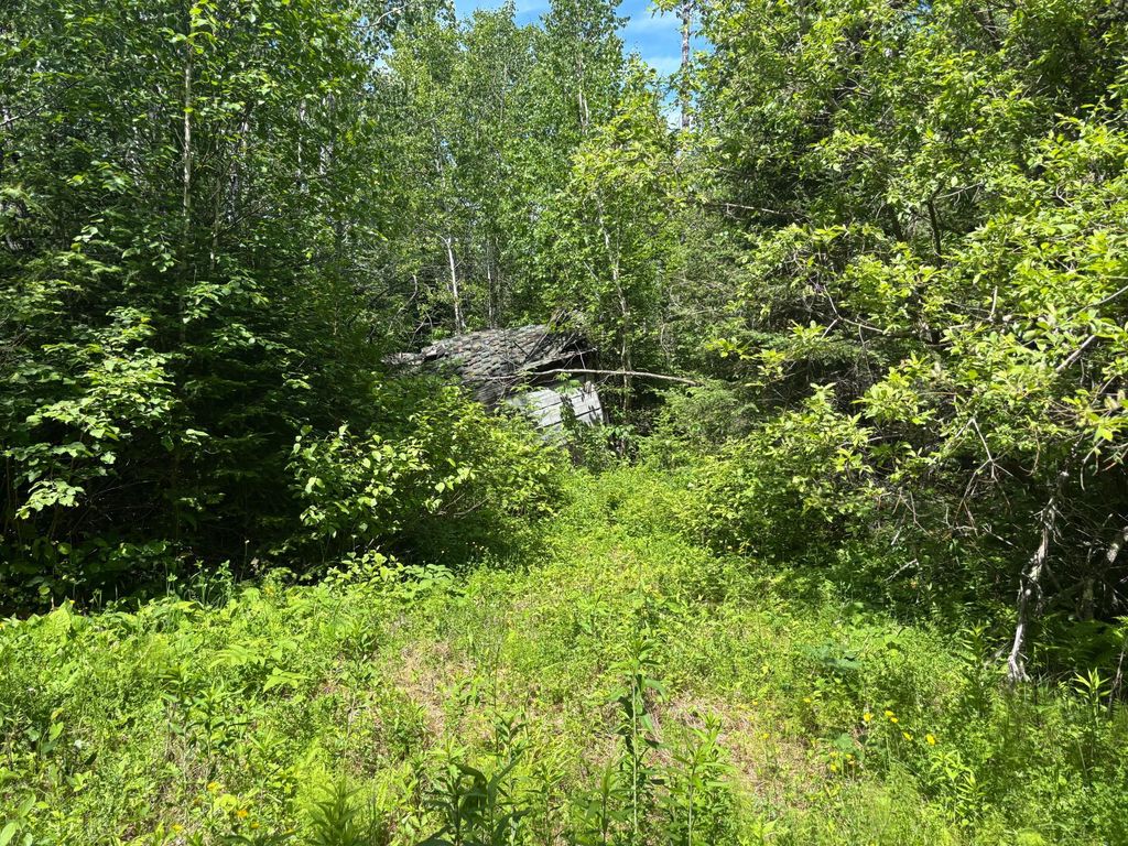 Photo of 11703 Jacobs Road, Orr, MN 55771 (MLS # 7101735)