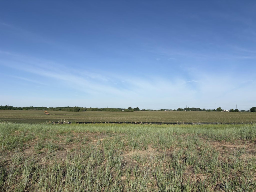 Photo of 460 Ramey Road, Maple Lake, MN 55358 (MLS # 7085900)