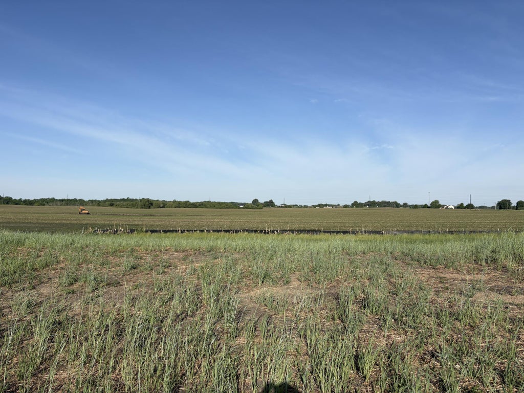 Photo of 460 Ramey Road, Maple Lake, MN 55358 (MLS # 7085900)