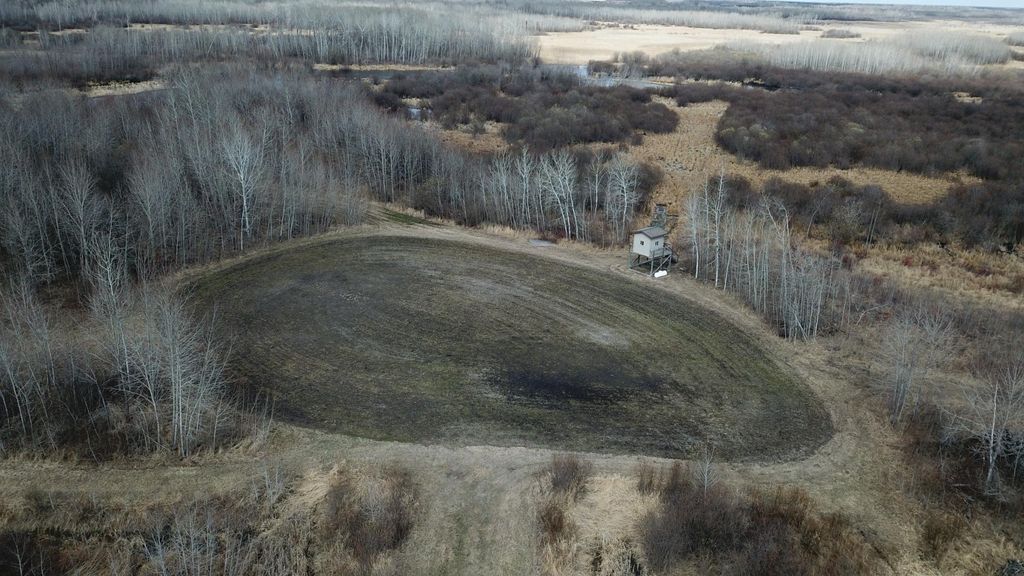 Photo of TBD 480th Ave, Grygla, MN 56727 (MLS # 7067548)