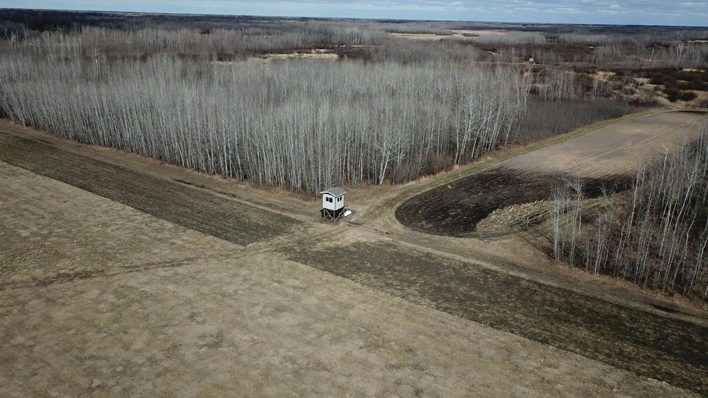 Photo of TBD 480th Ave, Grygla, MN 56727 (MLS # 7067548)