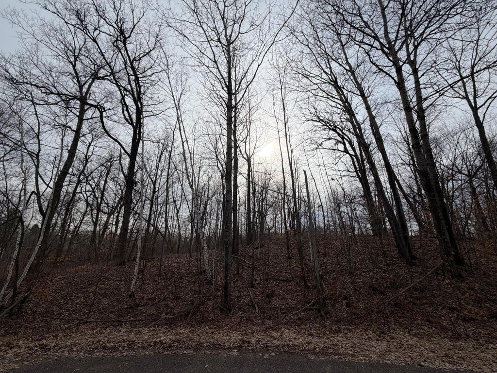 Photo of TBD Tee Top, Garrison, MN 56450 (MLS # 7044255)