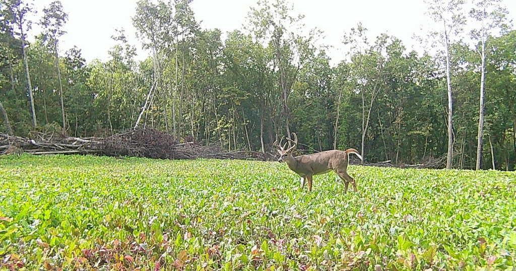 TBD East Burns Valley Road